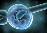 Nie można opatentować wykorzystywania embrionu ludzkiego do badań naukowych