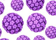 Szczepienia przeciw HPV chronią też niezaszczepionych