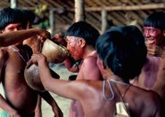 Bogactwo bakterii odnalezione w odległej amazońskiej wiosce