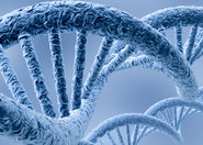 DNA 30 tys. osób zostanie rozszyfrowane do końca tego roku