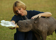 RPA i Wietnam podpisały porozumienie w sprawie ochrony nosorożców