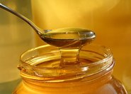 Najlepsze lekarstwo dla pszczół - miód