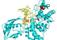 Białka z klastrami żelazowo-siarkowymi