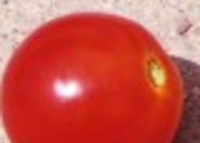 Co łączy mężczyzn z pomidorami?