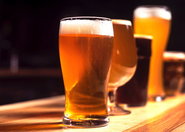 Fizykochemiczne właściwości piwa warzonego w warunkach domowych