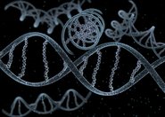 Ślady kataklizmu sprzed 13 lat w DNA