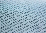 W poszukiwaniu genów odpowiedzialnych za choroby