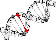 Nowa technika rozciągania DNA