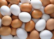 Jajka służą czy szkodzą naszemu organizmowi?