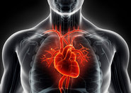 Źródła wrodzonej arytmii serca