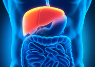 Gamma-glutamylotranspeptydaza - marker schorzeń wątroby