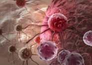 Rusztowanie hydrożelowe do badania nowotworów piersi