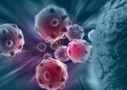 Wpływ makrofagów na powstawanie przerzutów