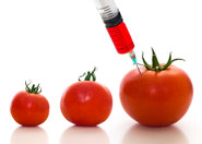 Żywność organiczna znacznie zdrowsza od nieorganicznej