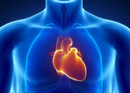 Nanorurki do odbudowy luk elektrycznych w sercu