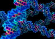 Technika mikromacierzy DNA
