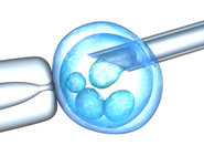 Ocena etyczna badań nad komórkami macierzystymi
