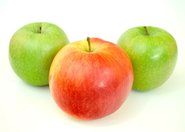Niebrązowiejące jabłka GMO już dostępne