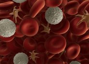 Nanocząsteczki udające składnik krwi naprawią uszkodzone naczynia