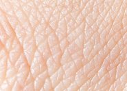 Opatrunek srebrowy syntetycznym substytutem skóry
