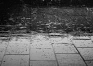 Zanieczyszczona deszczówka zagrożeniem dla wód powierzchniowych