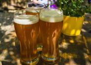 Międzynarodowy Dzień Piwa i Piwowara