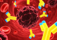 Flirt międzykomórkowy - rozmowa z prof. dr. hab. Tomaszem Guzikiem, hipertensjologiem, laureatem Nagrody FNP 