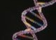 Nasze DNA: Chronić? Zmieniać?