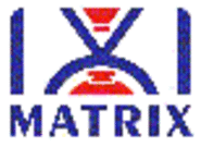 Kierownik ds. Kluczowych Klientów